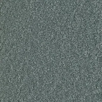 Draufsicht Girloon Cloud 441 Velours Teppichboden